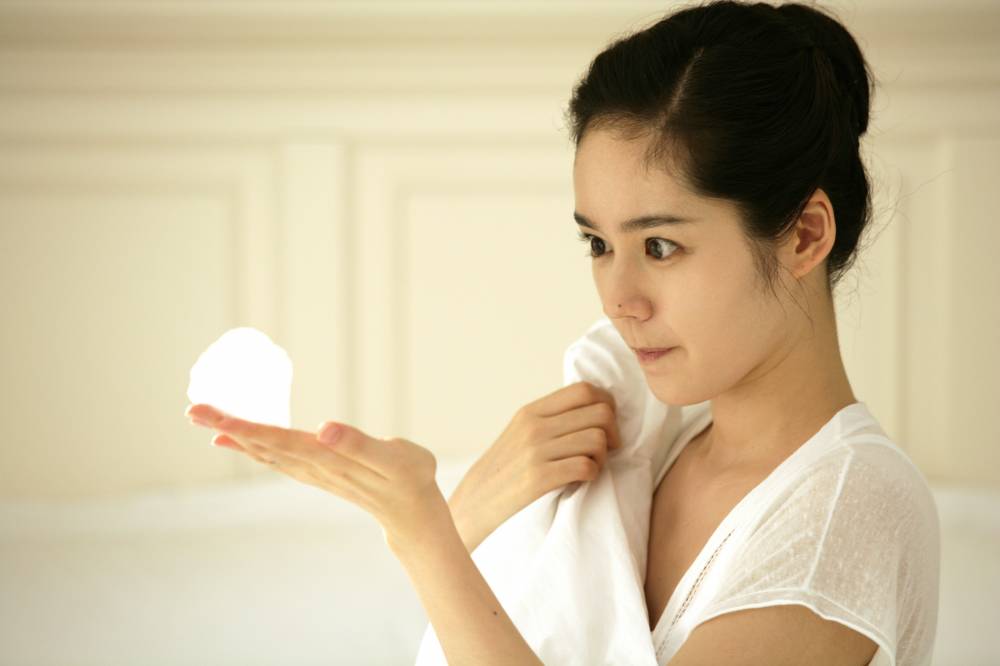 Han Ga In