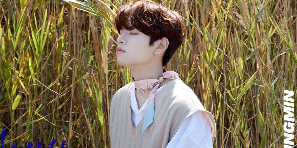 Stray Kids' Seungmin to take a break from schedules due to ...