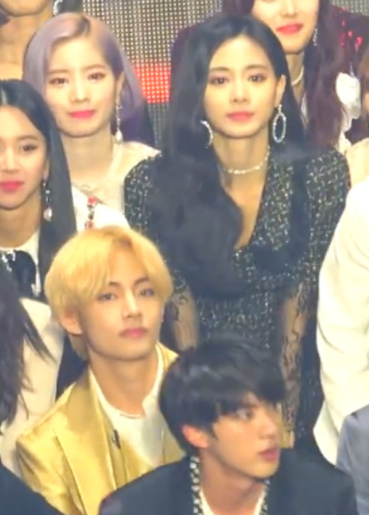 Netizens think TWICE's Tzuyu and BTS's V could be siblings