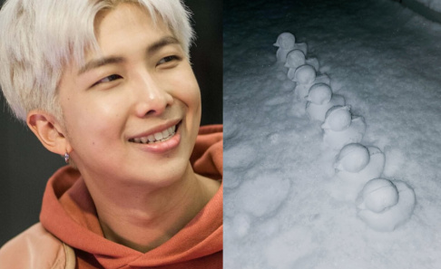 BTS, RM (Rap Monster)