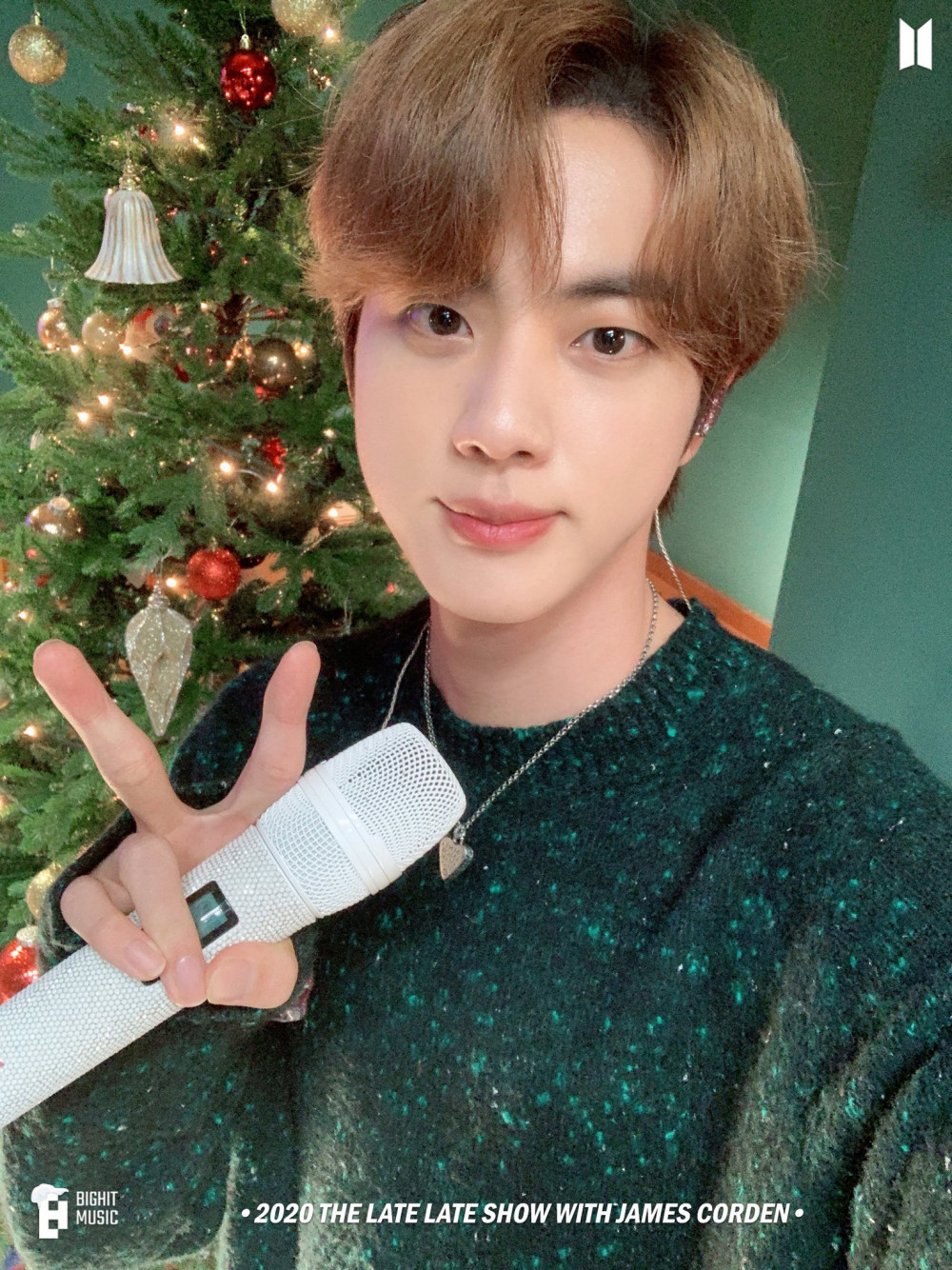 BTS's Jin helps to bring more awareness to environmental problems