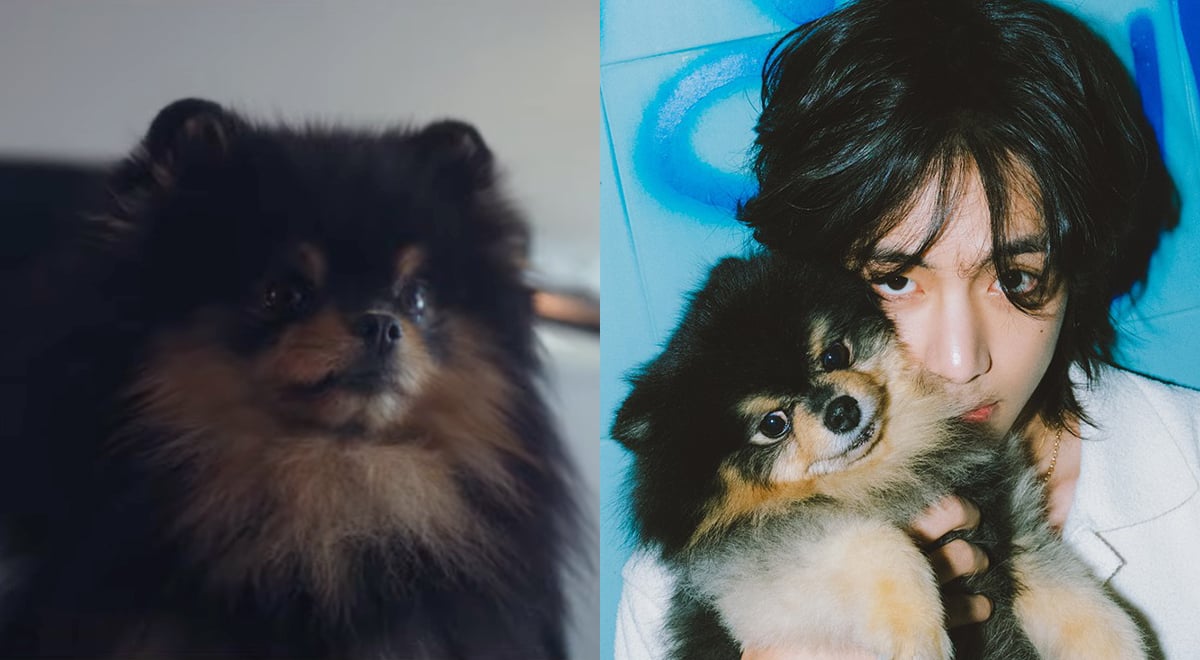 BTS's V hilariously confesses that the role of Yeontan in the