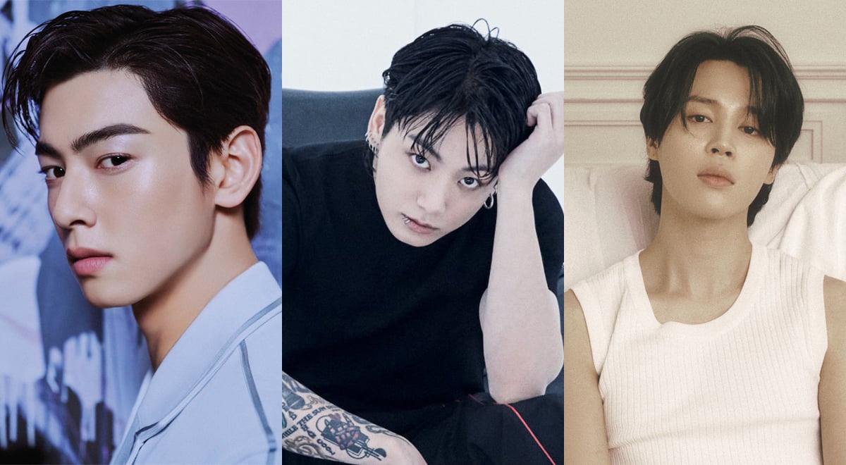 Cha Eun Woo, Jungkook, & Jimin top individual male K-Pop idol brand ...