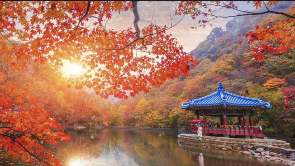 Seasonal change in Korea