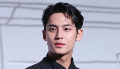 Seventeen, Mingyu