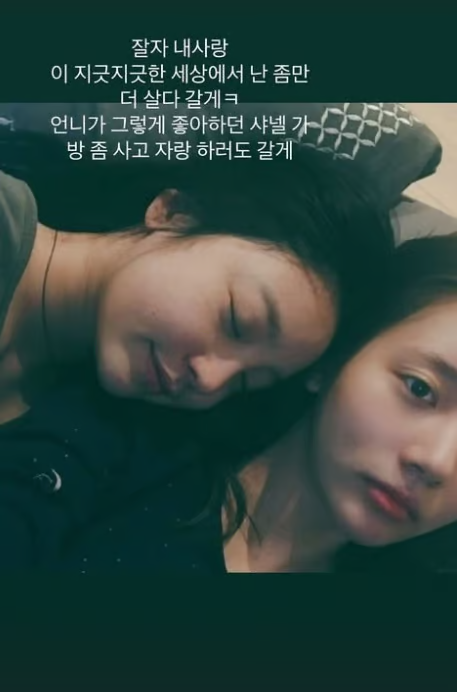 Han Seo Hee dan Goo Hara